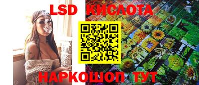 прущие грибы Партизанск